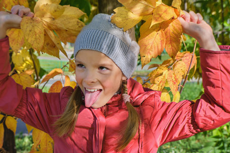 A little happy smiling girl holds orange and yellow maple leaves in her hands in the daytime in autumn. Autumn sunny day.の写真素材