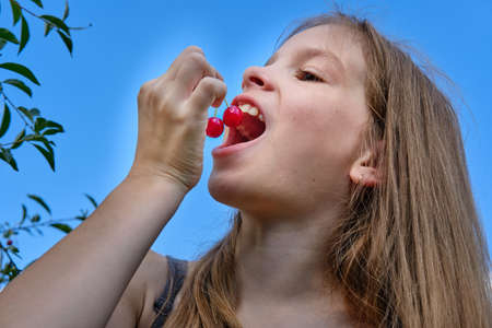 A smiling, positive teenage girl in the garden holds a ripe cherry in her hand and eats it, against the blue sky. Cherry harvestingの写真素材
