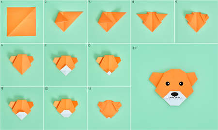 Origami Bear. Step-by-step photo instruction on a green background. DIY conceptの写真素材