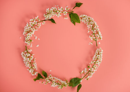 layout with branches of a flowering cherry tree in the shape of a circle on a pink background. flower arrangement. copyspace. top viewの写真素材