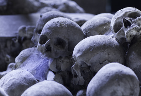skull in fontanels cemetery, Naplesの写真素材