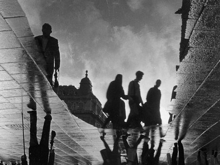 Shadows reflexing in the pool in a cloudy dayの写真素材