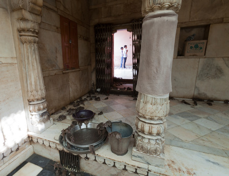 rat temple, Karni mata temple, Deshnoke, Indiaのeditorial素材