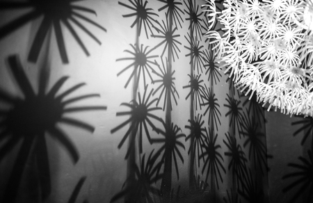 An abstract light of shadows and decorationsの写真素材