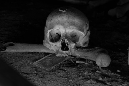 Skulls in Fontanel cemetery, Sanit quarter Naplesの写真素材