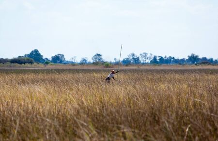 The Navigation in the Okavango Delta is done with typical flat boatsの写真素材