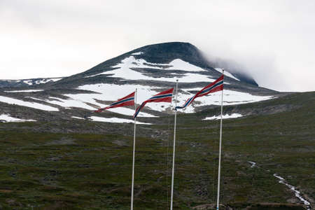 Landascape of tundra with Norvegian flags, Norwayの写真素材