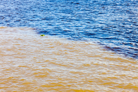 Black and  white encounter, Amazon River, Brazilの写真素材