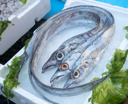 lepidopus caudatus, pesce bandiera in italian, at fish market,Naples