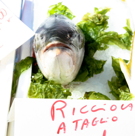 Ricciola (yellowtail fish) in market in Naples, Italyの写真素材