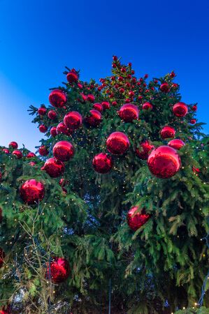 Red balls hanging on a Christmas treeの写真素材