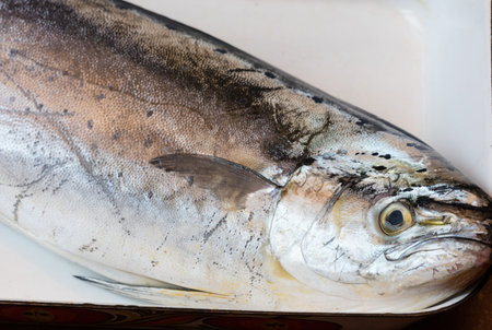 Fresh mediterranean lampuga at market in Naples