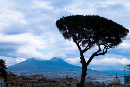 Landscape of Naples, with Vesuvius with snowの写真素材