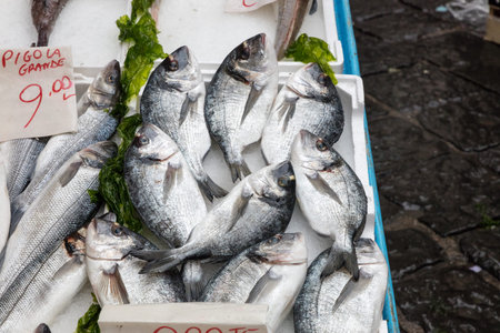 Mediterranean fish exposed in open market in Napoli