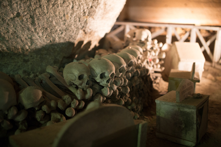Skull and bones in ancient ossuary, Naplesの写真素材