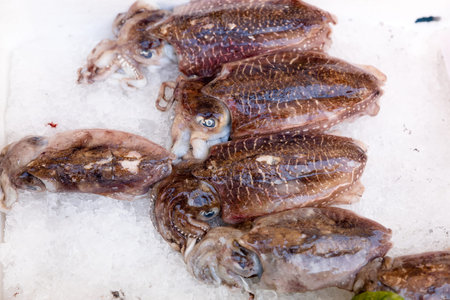 cuttlefish exposed in open fish market in Napoli