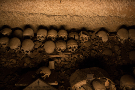 Skull and bones in ancient ossuary, Naplesの写真素材