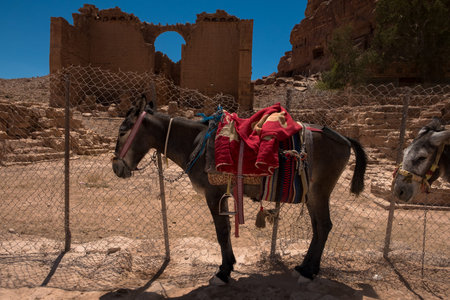 Ruins of Petra,   Jordan