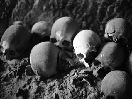 Skull and bones in ancient ossuary, Naplesの写真素材