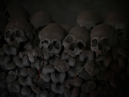 Skull and bones in ancient ossuary, Naplesの写真素材
