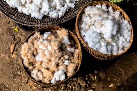 freshly sheared sheep's wool flakes in bucketの写真素材