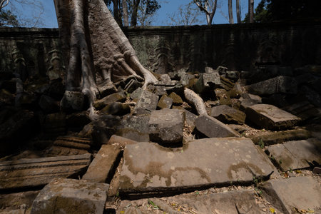 angkor thom, the best archaeological site, Cambodia