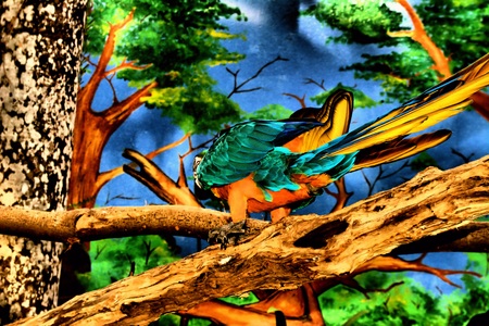 Beautiful parrot from back point of view looking like he want to enter the nature painting on the wall.の写真素材