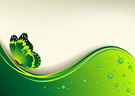 Beautiful green background with the butterfly and dew dropsのイラスト素材