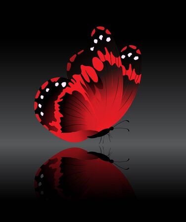 The bright-red butterfly on a black backgroundのイラスト素材