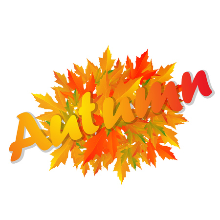 Autumn typographic. Fall leaf. Vector illustration EPS 10のイラスト素材