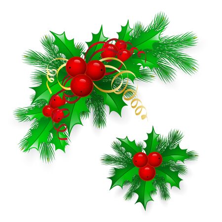 Vector Christmas holly with berries. eps10 illustrationのイラスト素材