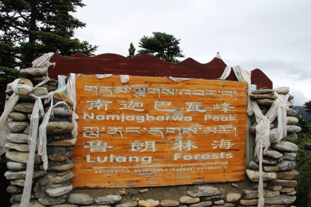 Lulanglinhaiのeditorial素材