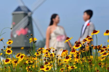 Chrysanthemum next to a wedding coupleの写真素材