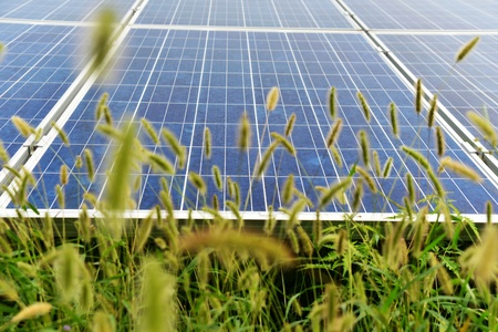 Field of solar panelsの写真素材