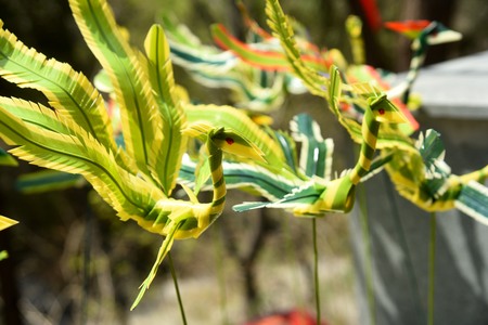 Made from straw, leaves Phoenix style, arts and craftsのeditorial素材