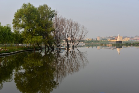 Urban Wetlandの写真素材