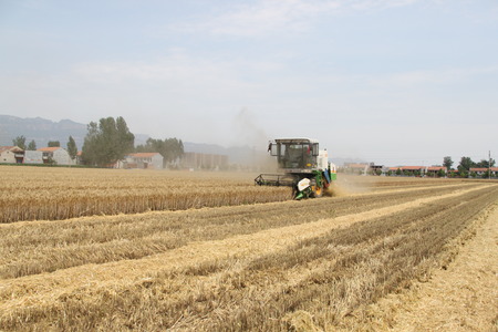 Wheat harvester work sceneのeditorial素材