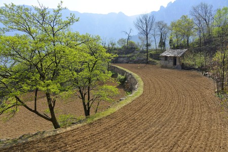 View of plowed landのeditorial素材