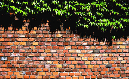 Fenceの写真素材