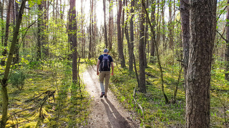 footpath through the forest, man admirinig nature, colors, sunlight, fresh green of spring