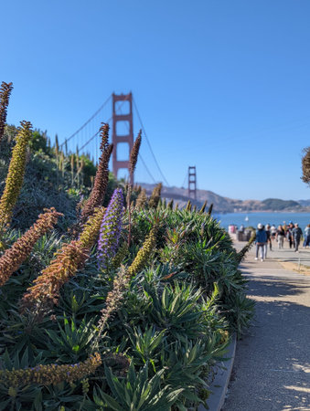 Golden Gate Bridge in San Francisco, California, United States of America