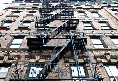 ladder