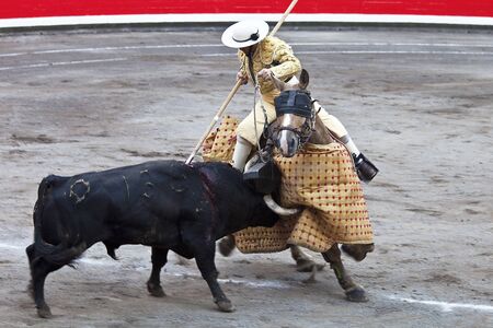 Horsebreaker of bullsのeditorial素材