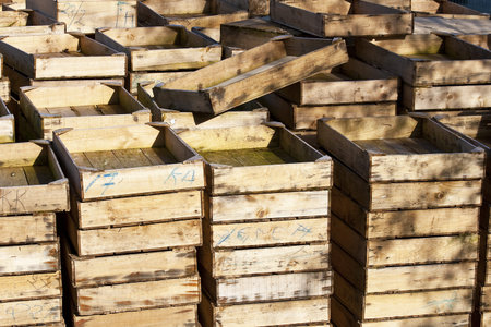 fish boxes