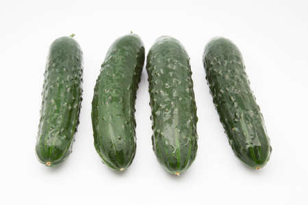 four newly picked cucumbers from the gardenの写真素材