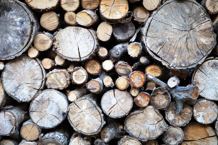 wood cut for the chimney