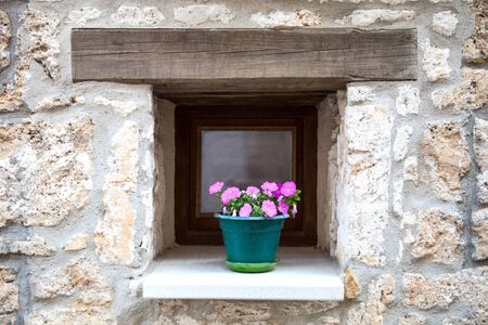 flowerpot with flowers in the ledge of a windowの写真素材