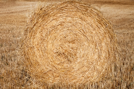 Harvest of straw stacked in spiralの写真素材