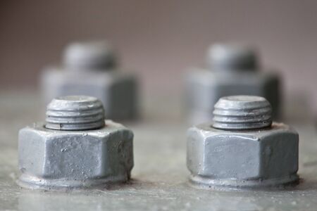 Nut in structure of a buildingの写真素材