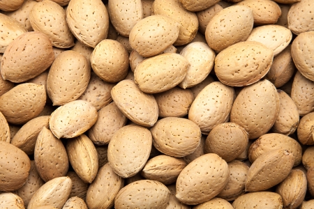 newly harvested almonds of the treeの写真素材